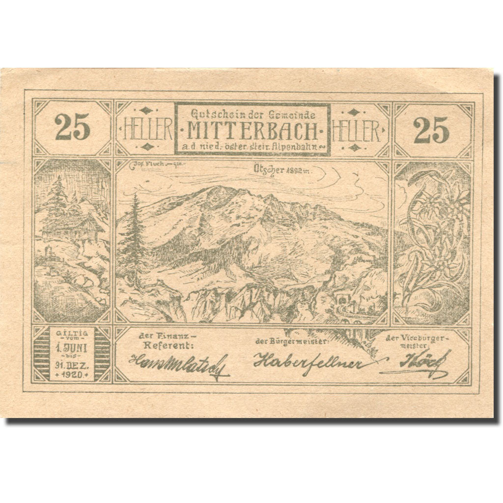 Banknote, Austria, Mitterbach, 25 Heller, montagne, 1920 AU(55-58) Mehl:FS 618c