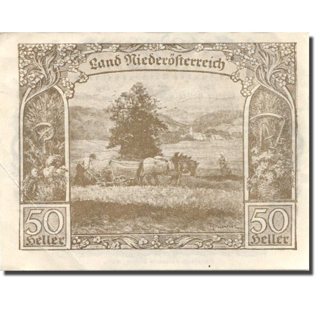 Billete, Austria, Niederösterreich, 50 Heller, arbre, 1920, EBC Mehl:FS 671I