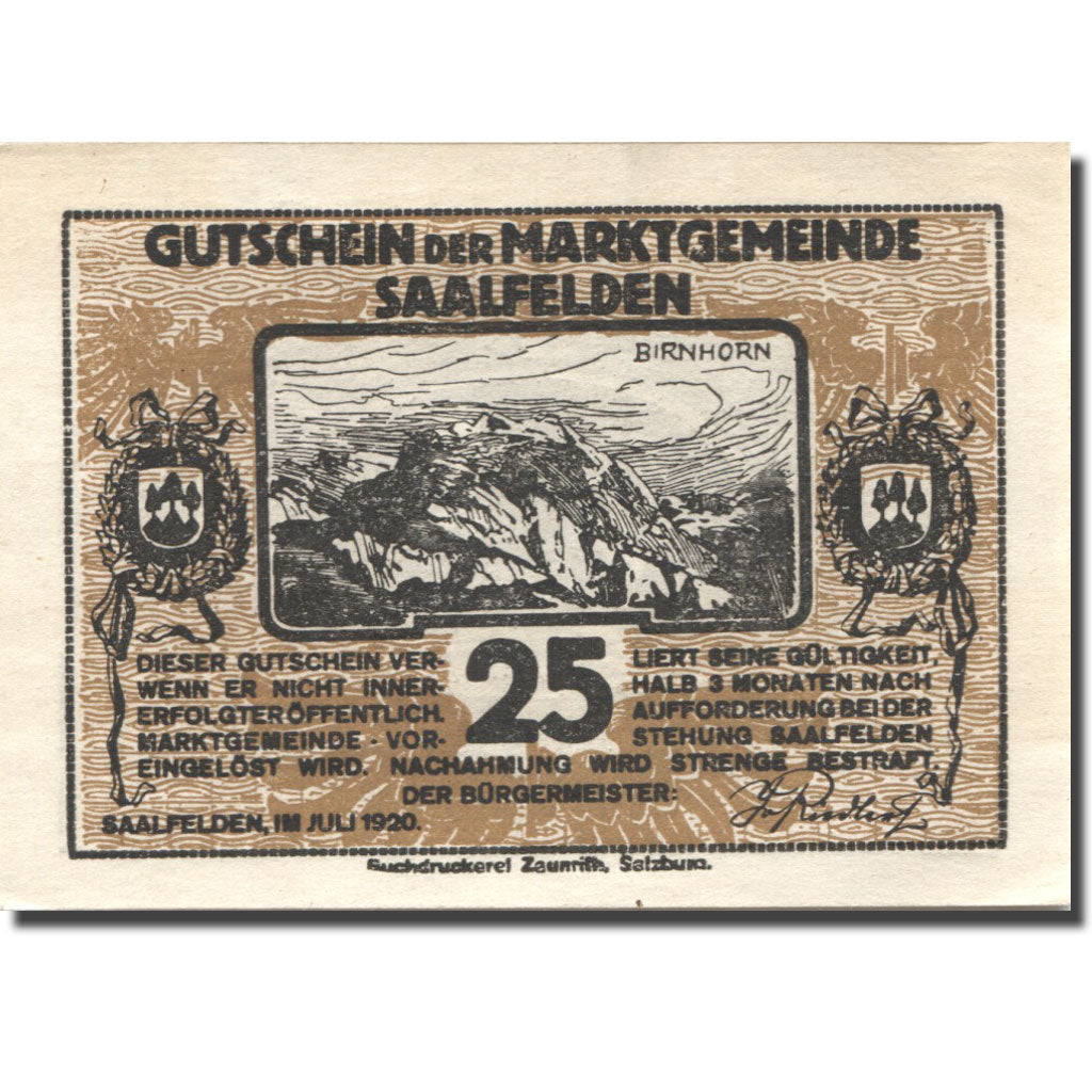 Banknote, Austria, Saalfelden, 25 Heller, montagne, UNC(63), Mehl:FS 859a