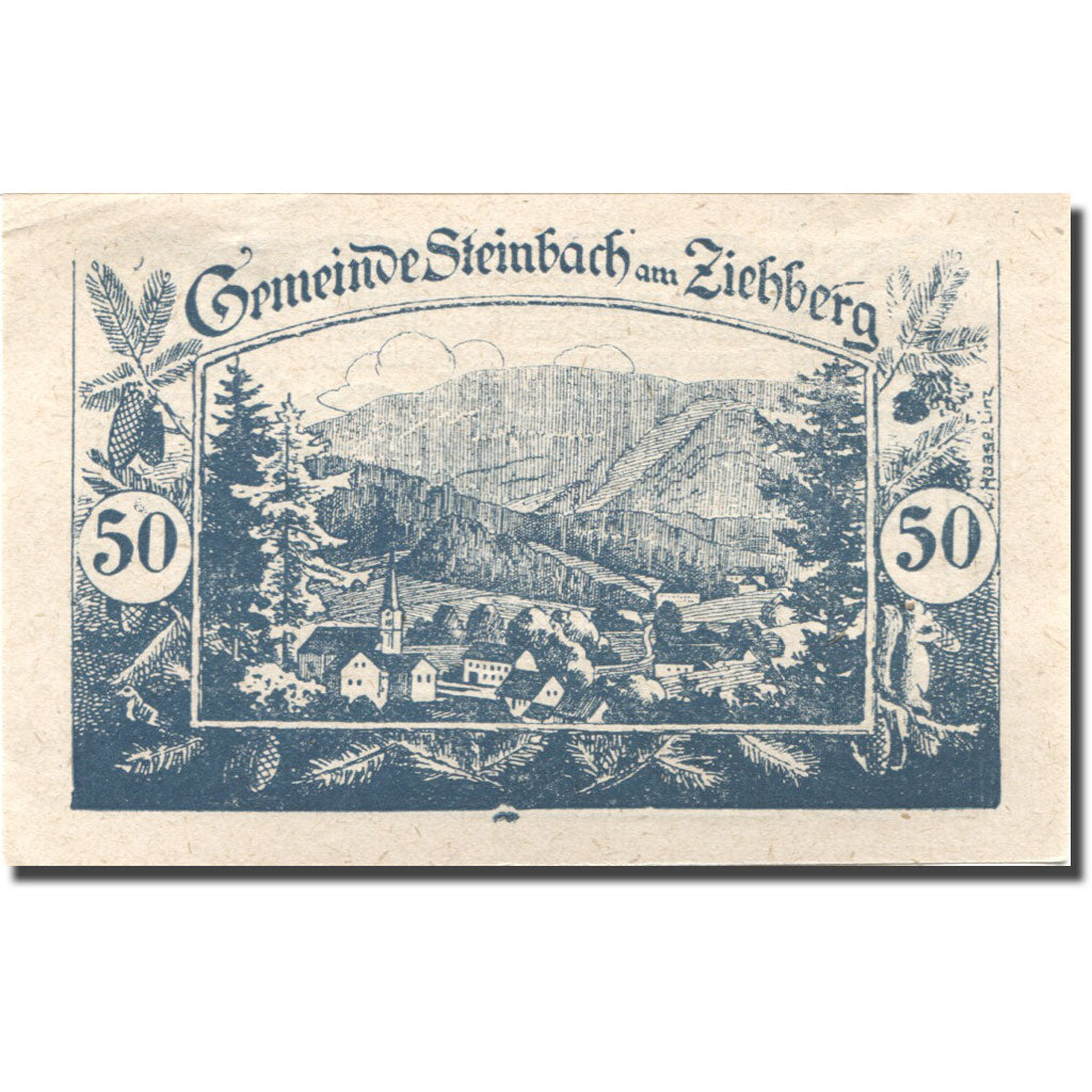 Banconote, Austria, Steinbach, 50 Heller, paysage, 1920 SPL- blue Mehl:FS 1024