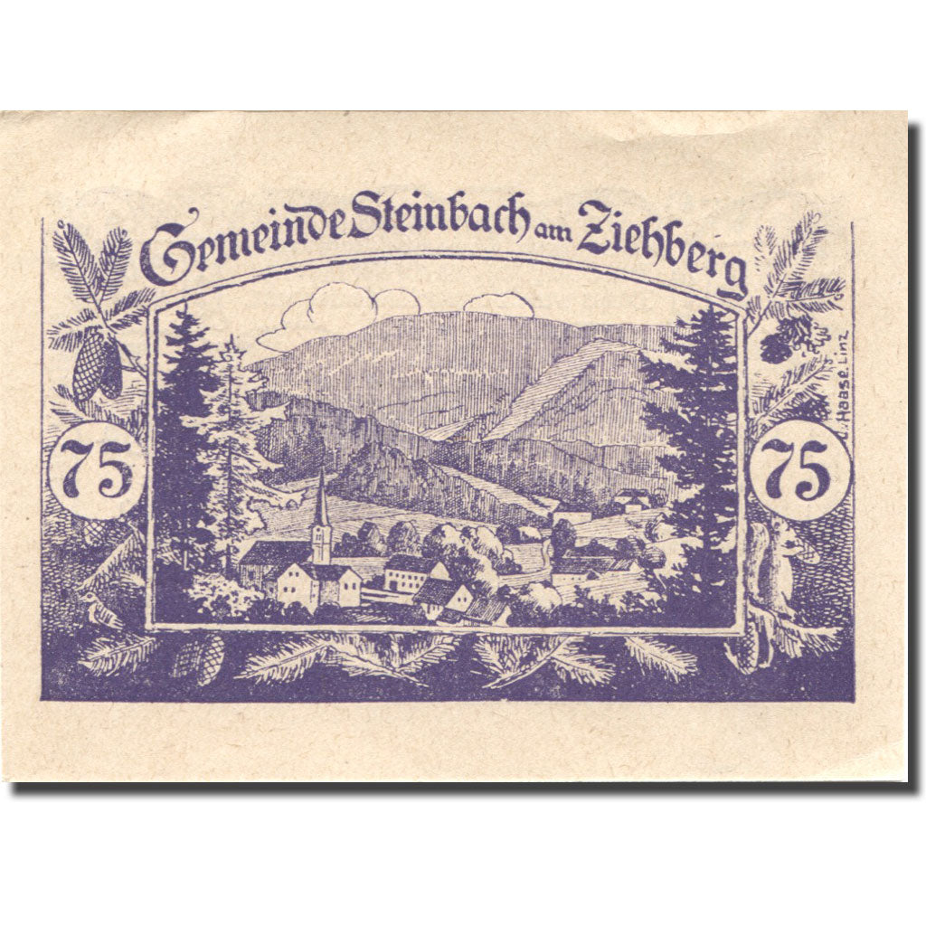 Banknote, Austria, Steinbach, 75 Heller, village, 1920 EF(40-45) Mehl:FS 1024