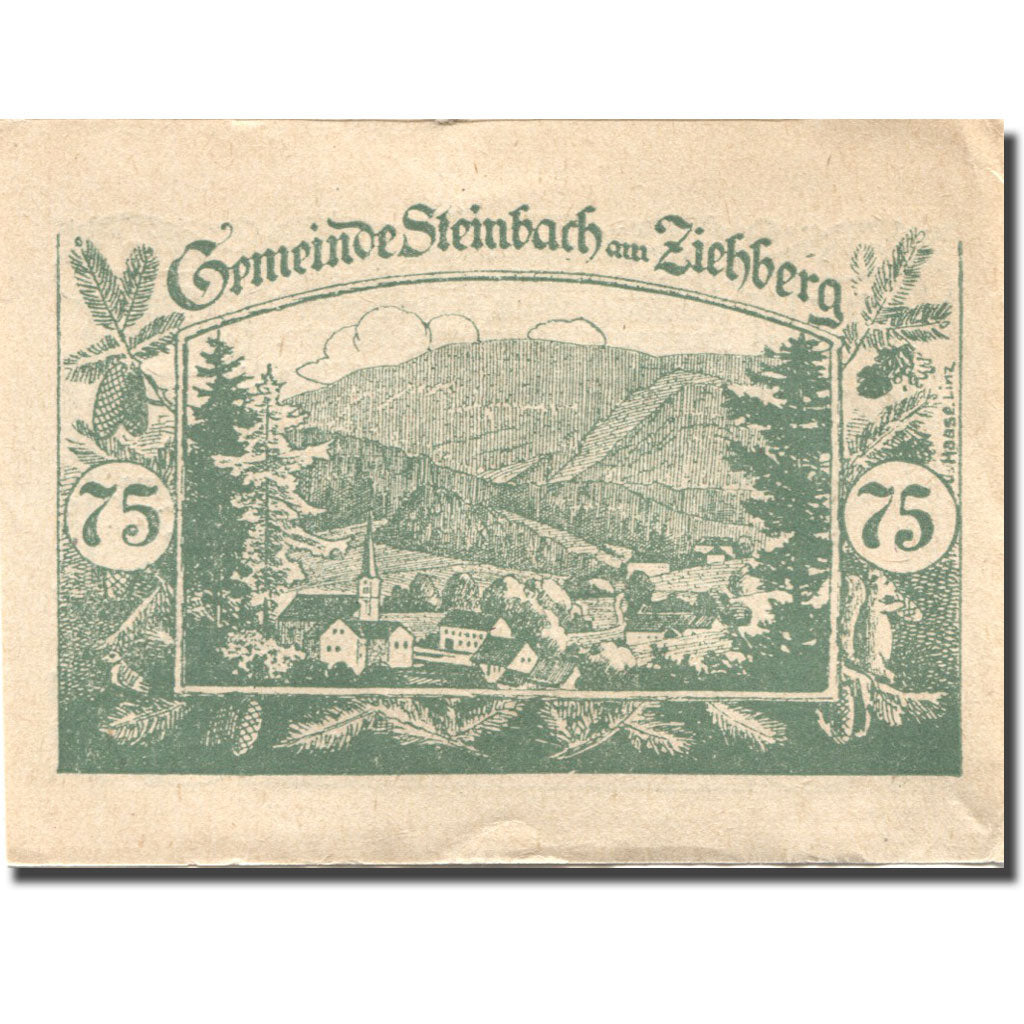 Banknote Austria Steinbach 75Heller, paysage 1, 1920 AU(55-58) green Mehl:FS1024