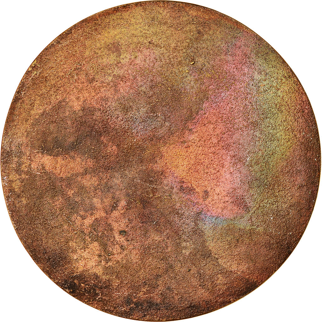 França, Medal, Animaux, Cygne et Nénuphar, Cliché Uniface, AU(55-58), Bronze