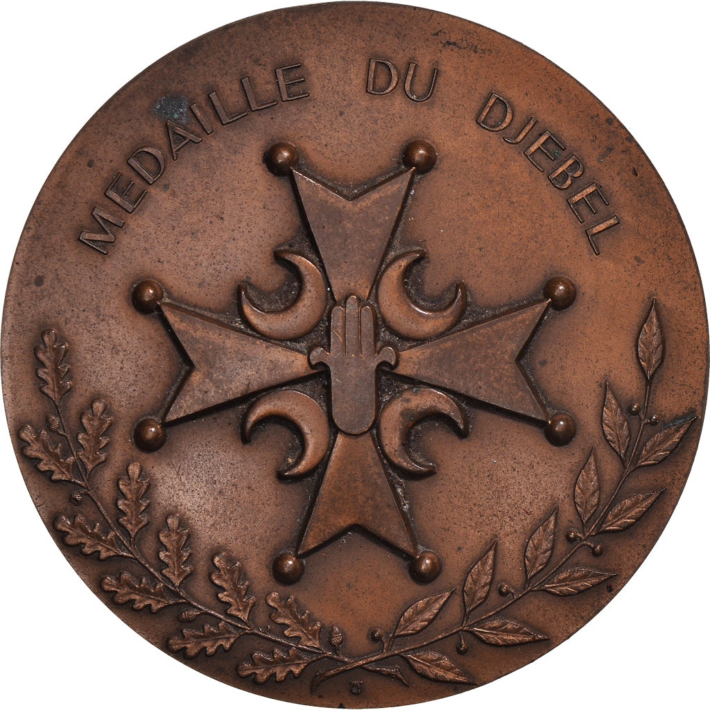 France, Médaille, Djebel, U.N.C, Afrique du Nord, Military, 1979, TTB, Bronze