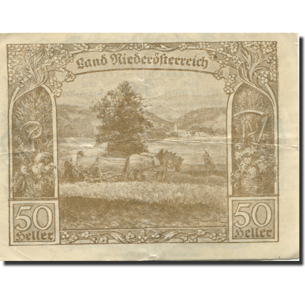 Banknote Austria Niederösterreich 50Heller champs 1920 EF(40-45) Mehl:FS 671I
