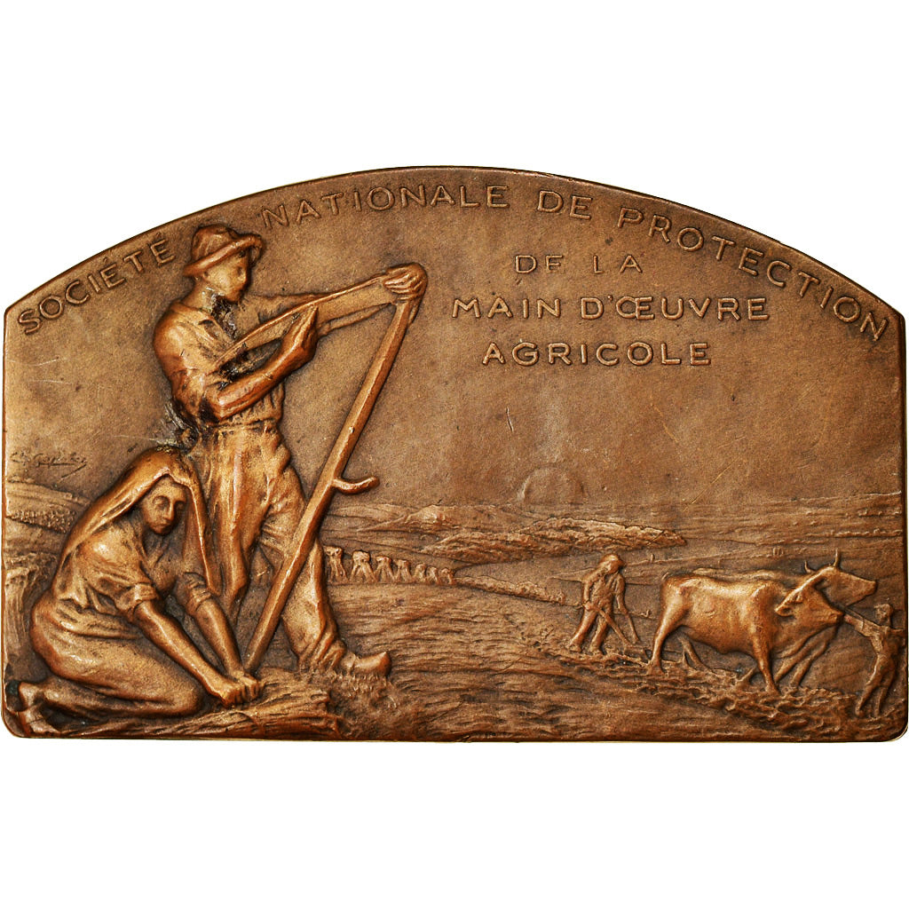 France, Medal, Société Nationale de Protection de la Main d'Oeuvre Agricole