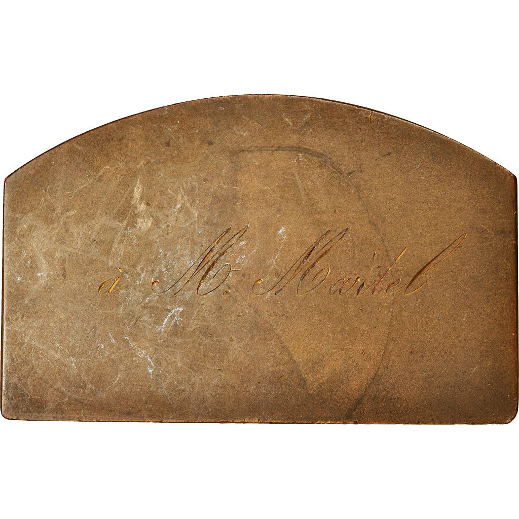 France, Medal, Société Nationale de Protection de la Main d'Oeuvre Agricole