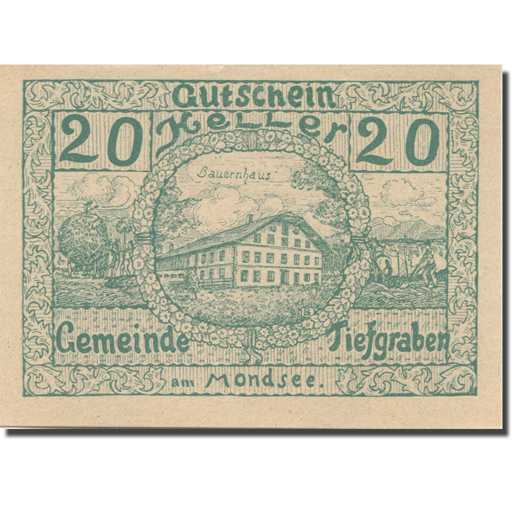 Banknote, Austria, Tiefgraben, 20 Heller, ferme, 1920, UNC(63), Mehl:FS 1071