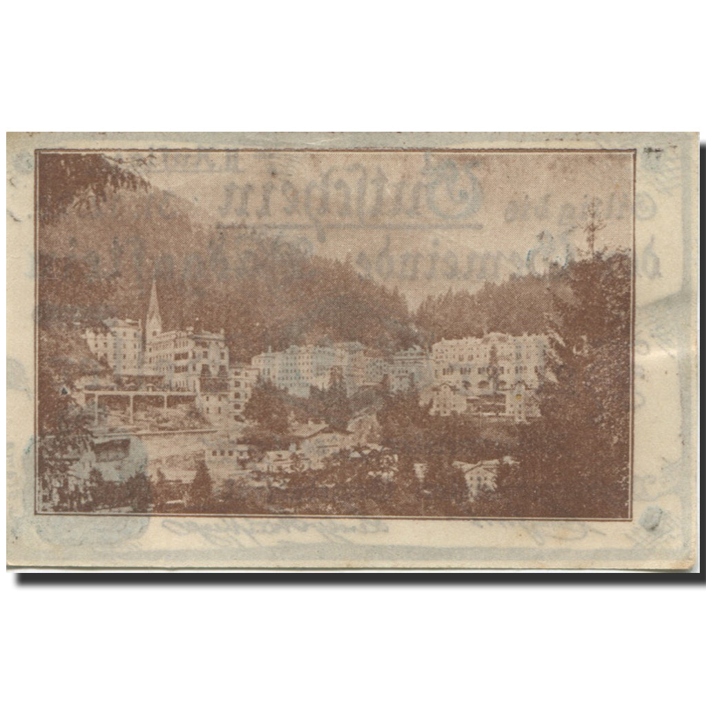 Billet, Autriche, Bad Gastein, 30 Heller, montagne 1920-12-31, SPL Mehl:FS 75IIa
