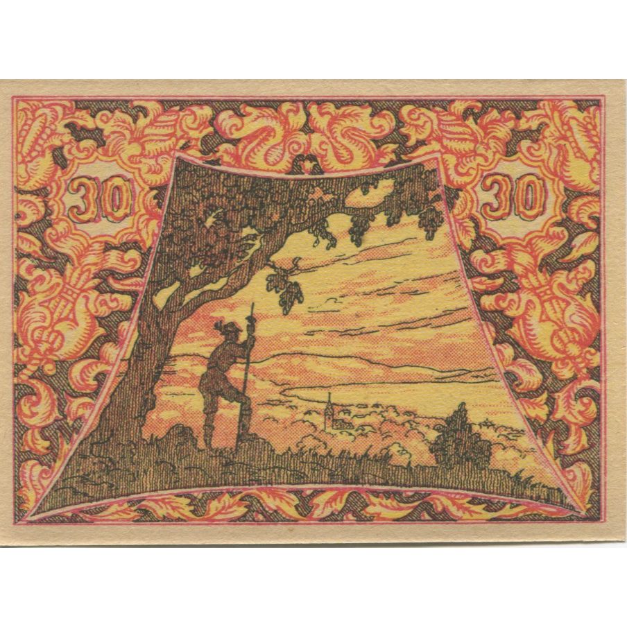 Banknote, Austria, Attersee, 30 Heller, Forêt, 1920, UNC(63), Mehl:FS 988a