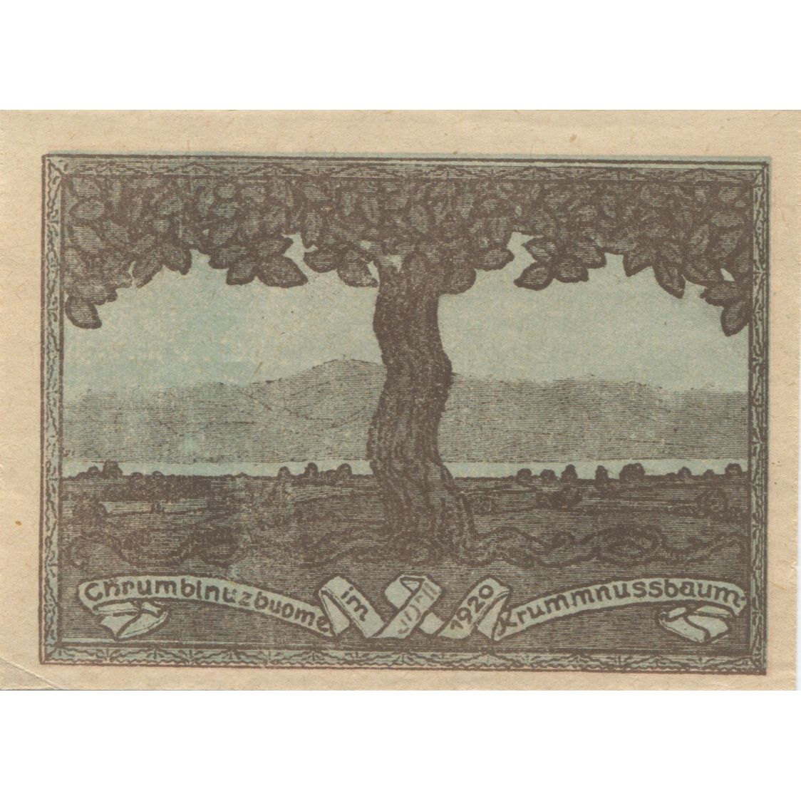 Banknote, Austria, Krummnusbaum, 10 Heller, arbre, 1920 UNC(63) Mehl:FS 488Ia