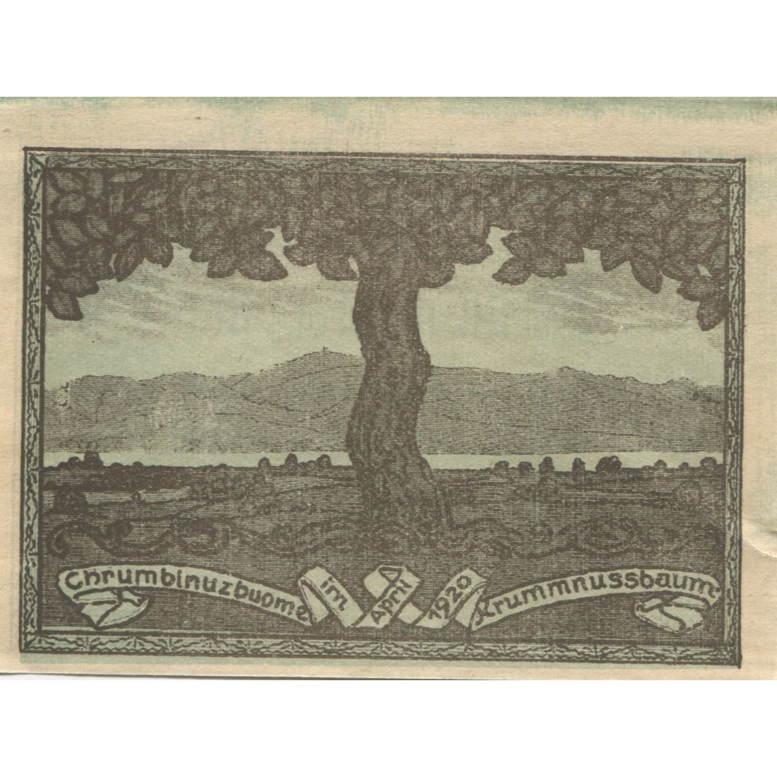Geldschein, Österreich, Krummnusssbaum, 20 Heller, Usine, 1920 UNZ- Mehl:FS 389I