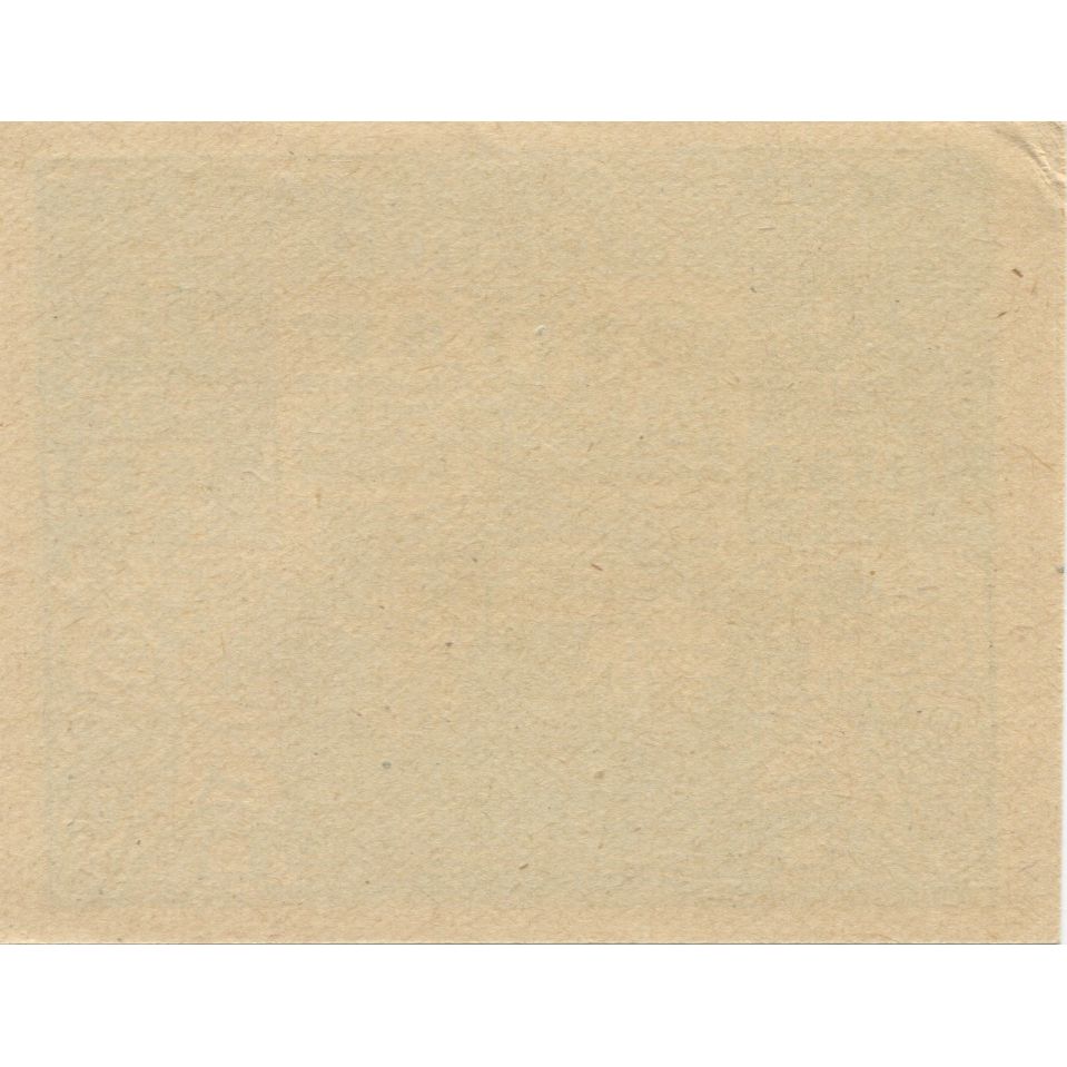 Geldschein, Österreich, Neukirchen, 20 Heller, Eglise, 1920, UNZ-, Mehl:FS 654