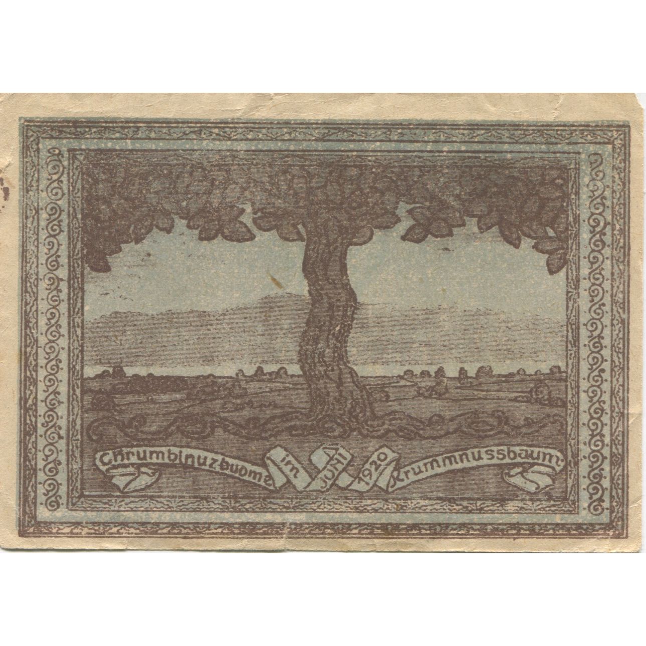 Banknote, Austria, Krummnussbaum, 50 Heller, arbre, 1920 AU(50-53) Mehl:FS 488Ia