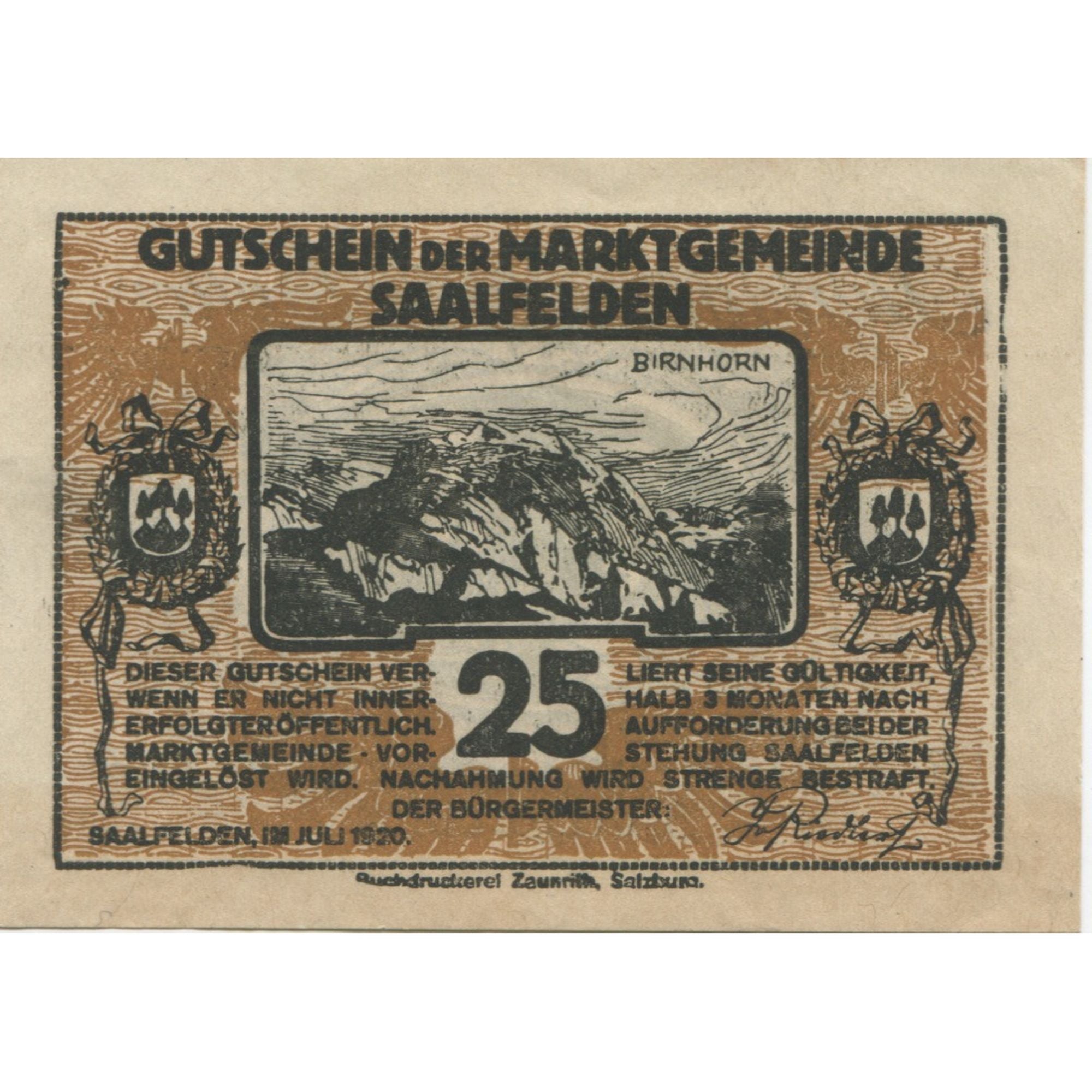 Banknote, Austria, Saalfelden, 25 Heller, montagne, 1920, UNC(63), Mehl:FS 859a