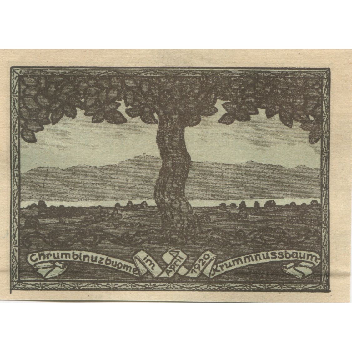Billet, Autriche, Krummnusbaum, 20 Heller, Usine, 1920, SPL, Mehl:FS 488Ia