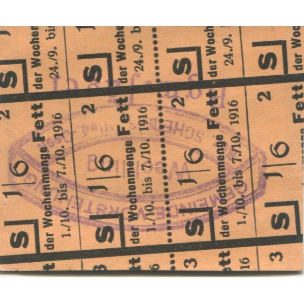 Geldschein, Österreich, Wechling, 20 Heller, Maison, 1920 UNZ- Mehl:FS 1145a