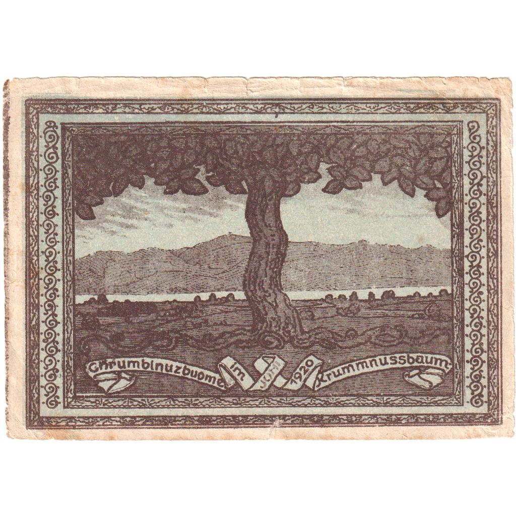 Autriche, Krummnusssbaum, 50 Heller, cheval 1920-12-31, TTB Mehl:FS 488Ia
