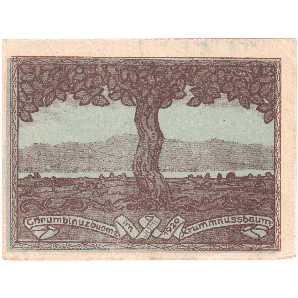 Österreich, Krummnusssbaum, 20 Heller, Usine 1920-12-31, VZ, Mehl:FS 488Ia