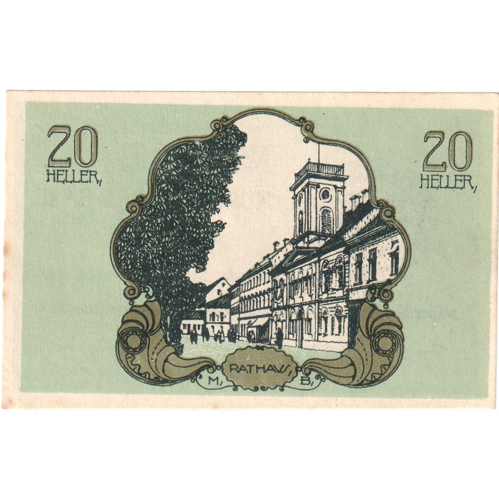 Autriche, Bad Hall, 20 Heller, mairie, 1920, 1920-12-31, SUP, Mehl:FS 76IIa