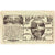 Austria, Willibald, 10 Heller, Foret, 1920, 1920-12-31, EF(40-45), Mehl:FS 946Ad