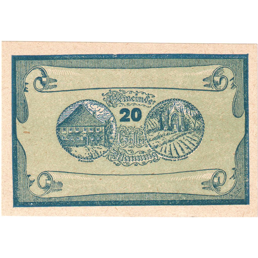 Oostenrijk, Manning, 20 Heller, Texte, 1920, 1920-05-22, SPL, Mehl:FS 578c