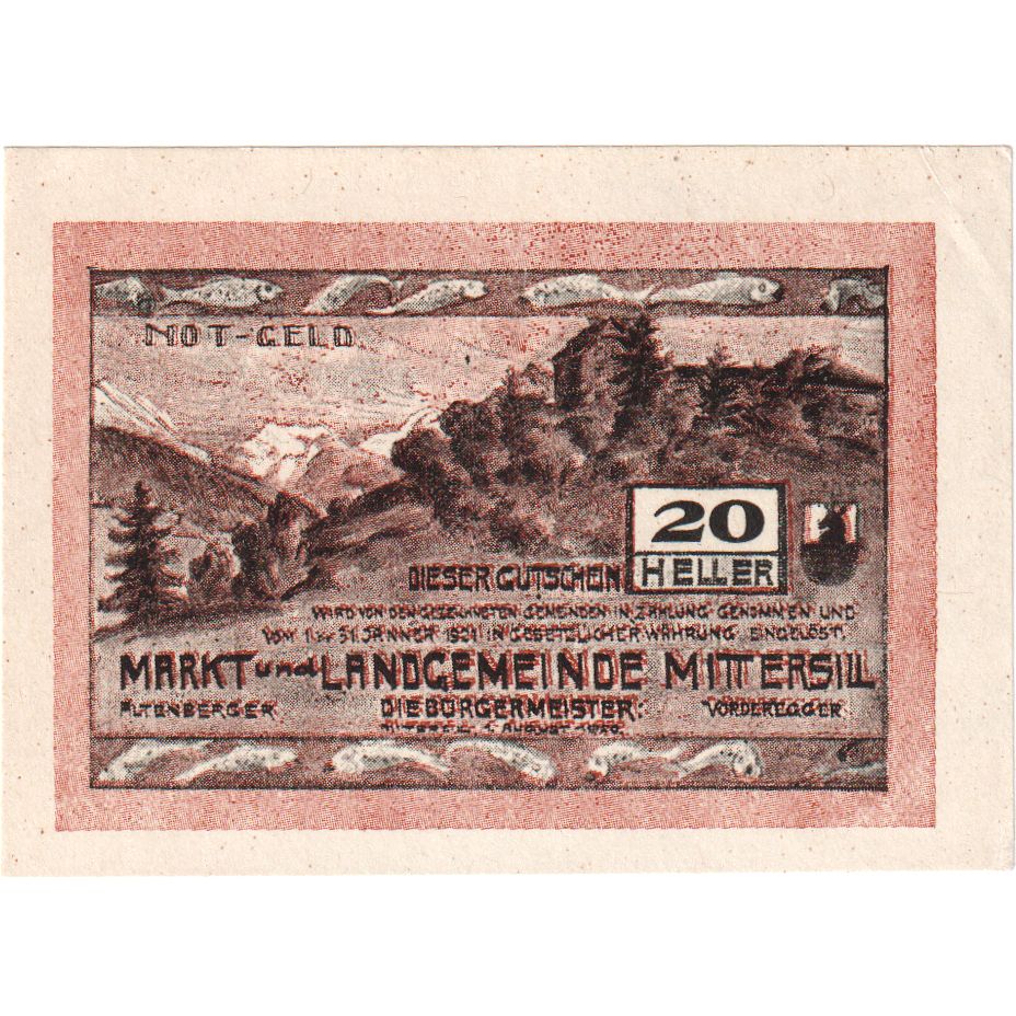 Österreich, Mittersill, 20 Heller, montagne 1920-01-31, UNZ-, Mehl:FS 622a
