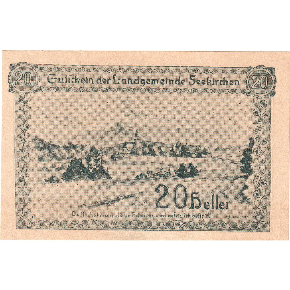 Autriche, Seekirchen, 20 Heller, 1920-12-31, SPL