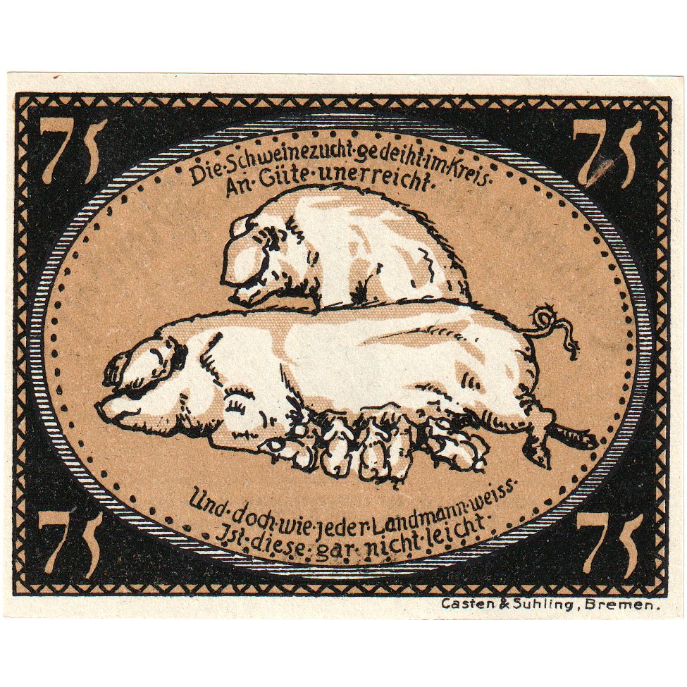 Deutschland, Diepholz, 75 Pfennig, 1921-09-15, UNZ-
