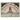 Deutschland, Diepholz, 75 Pfennig, 1921-09-15, UNZ-