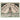 Deutschland, Diepholz, 75 Pfennig, 1921-09-15, UNZ-