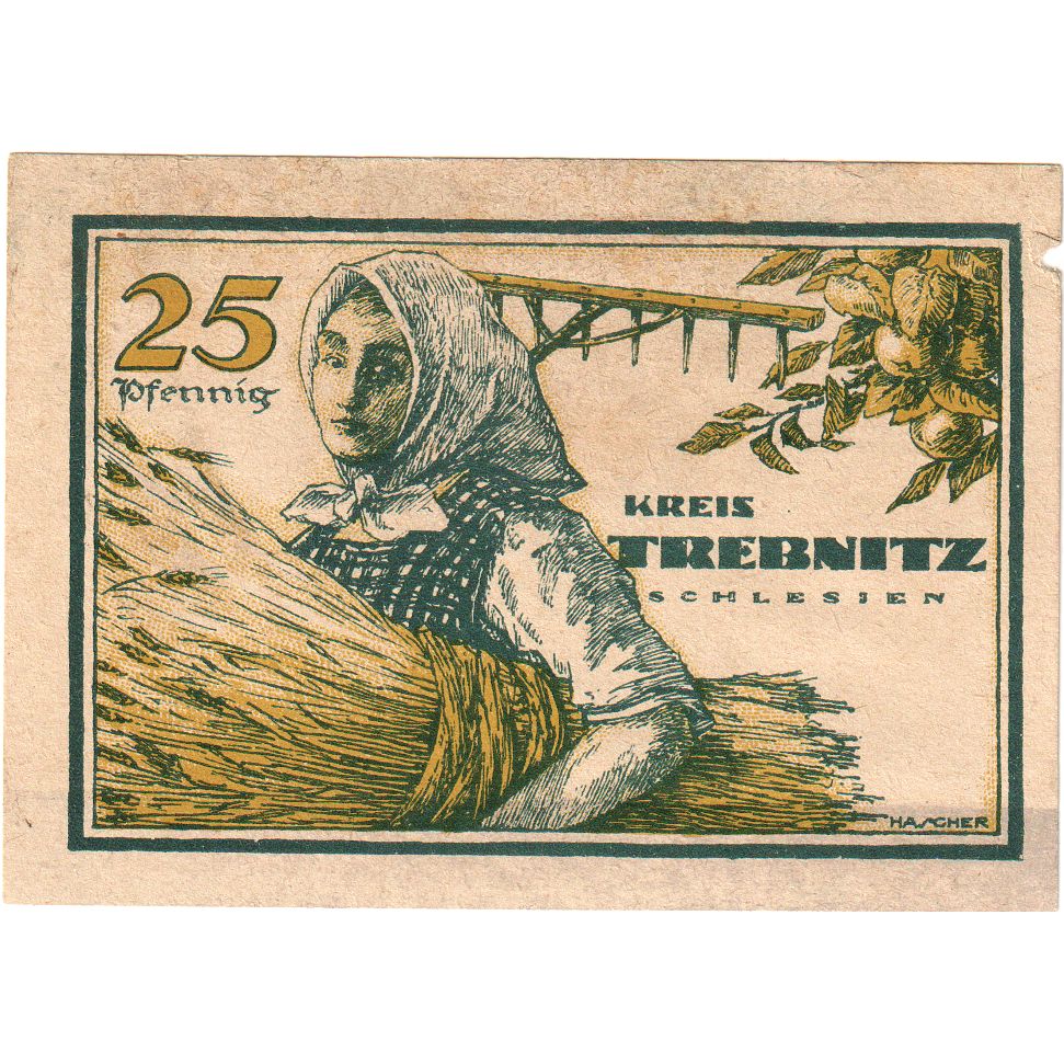 Deutschland, Trebnitz, 25 Pfennig, 1920-12-01, VZ