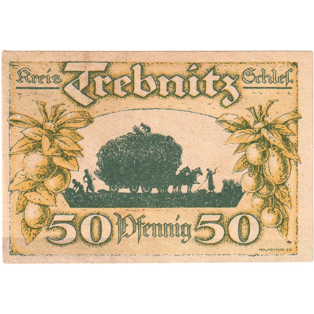 Deutschland, Trebnitz, 50 Pfennig, 1920-12-01, VZ