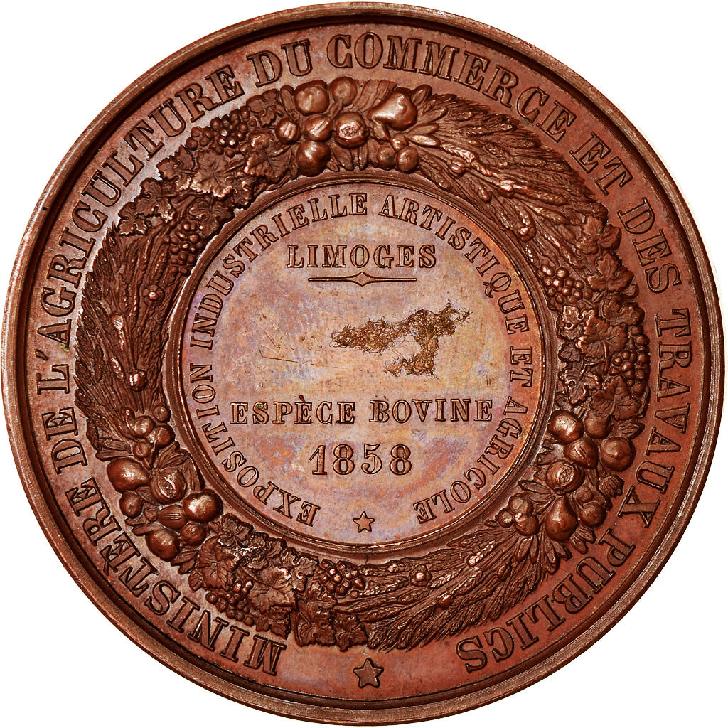 Francia, medaglia, Napoléon III, Exposition Industrielle Artistique et