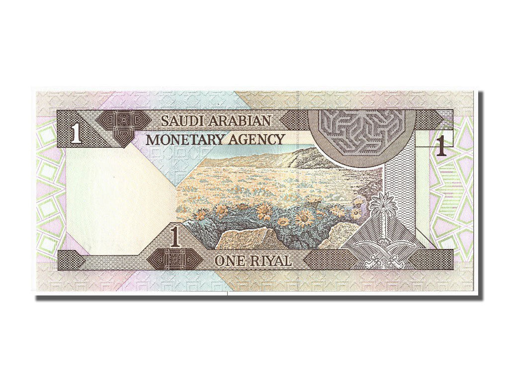 Billet, Saudi Arabia, 1 Riyal, 1984, NEUF