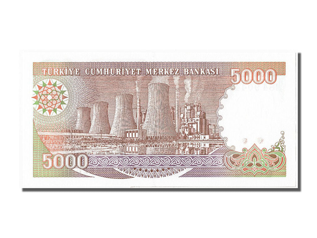 Banknote, Turkey, 5000 Lira, 1970, UNC(65-70)