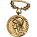 France, Opérations de Sécurité et Maintien de l'ordre, Algérie, Medal