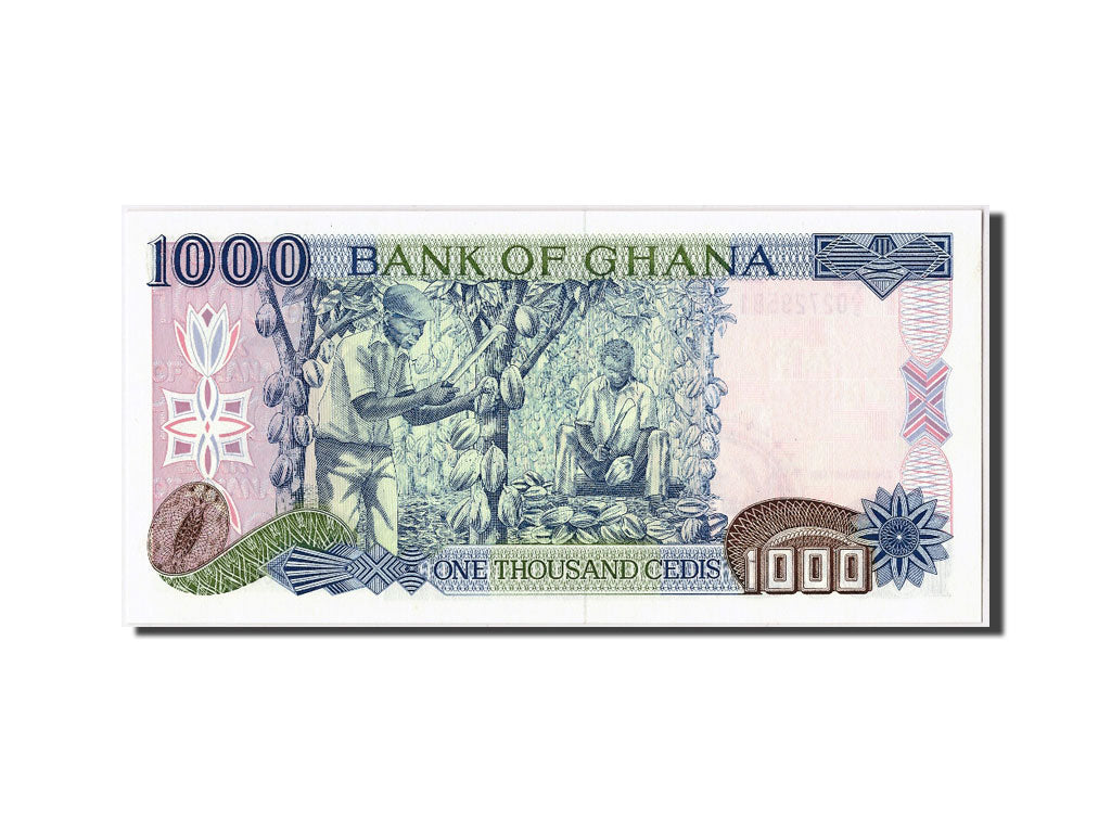 Banknot, Ghana, 1000 Cedis, 1991, 1991-02-22, UNC(65-70)