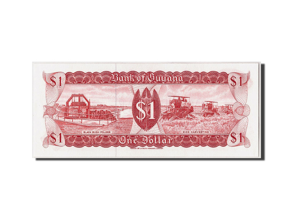 Banknote, Guyana, 1 Dollar, UNC(65-70)