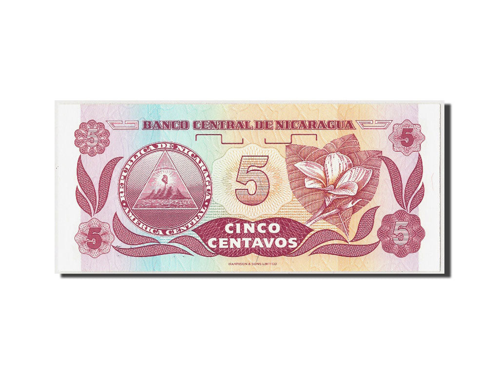 Banknot, Nicaragua, 5 Centavos, Undated (1991), Undated, KM:168a, UNC(65-70)