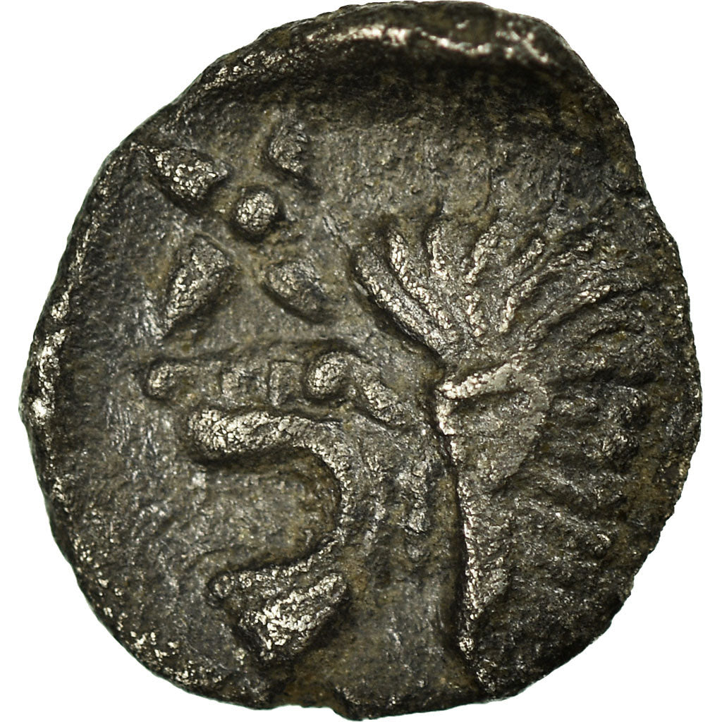Coin, Mysia, Kyzikos, Hemiobol, Kyzikos, EF(40-45), Silver
