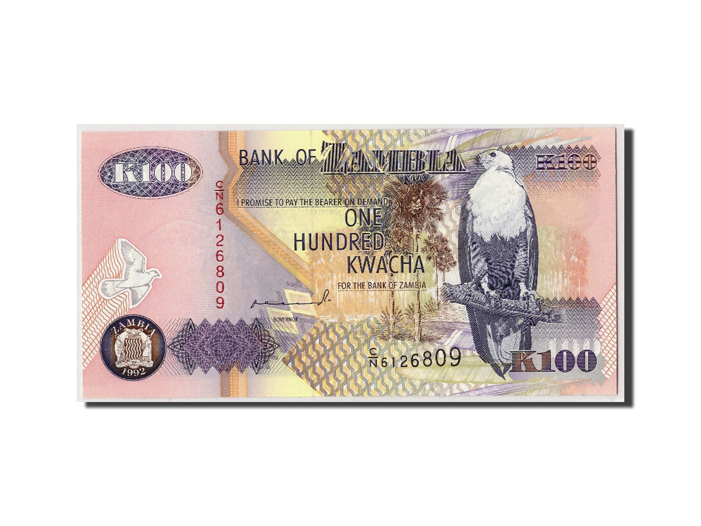 Banknote, Zambia, 100 Kwacha, 1992, Undated, KM:38a, UNC(65-70)