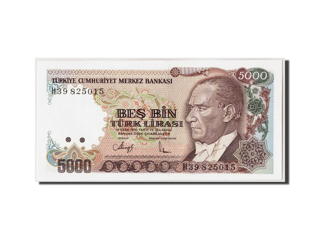 Geldschein, Türkei, 5000 Lira, L.1970 (1990), Undated, KM:198, UNZ