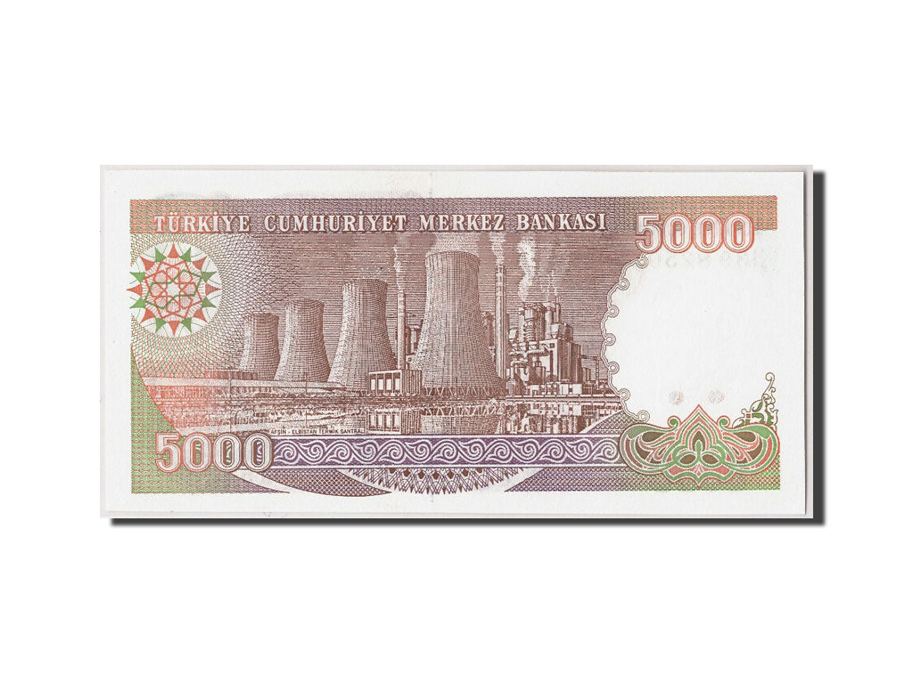 Geldschein, Türkei, 5000 Lira, L.1970 (1990), Undated, KM:198, UNZ