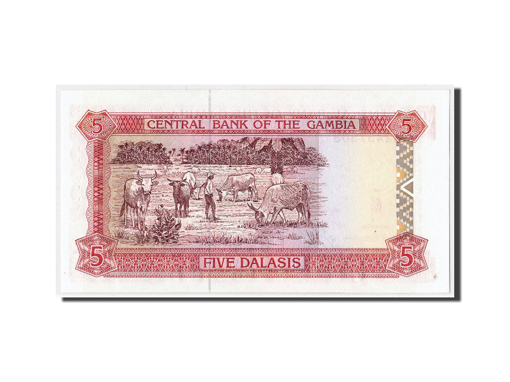 Billete, 5 Dalasis, Undated (1991-95), Gambia, KM:12a, UNC