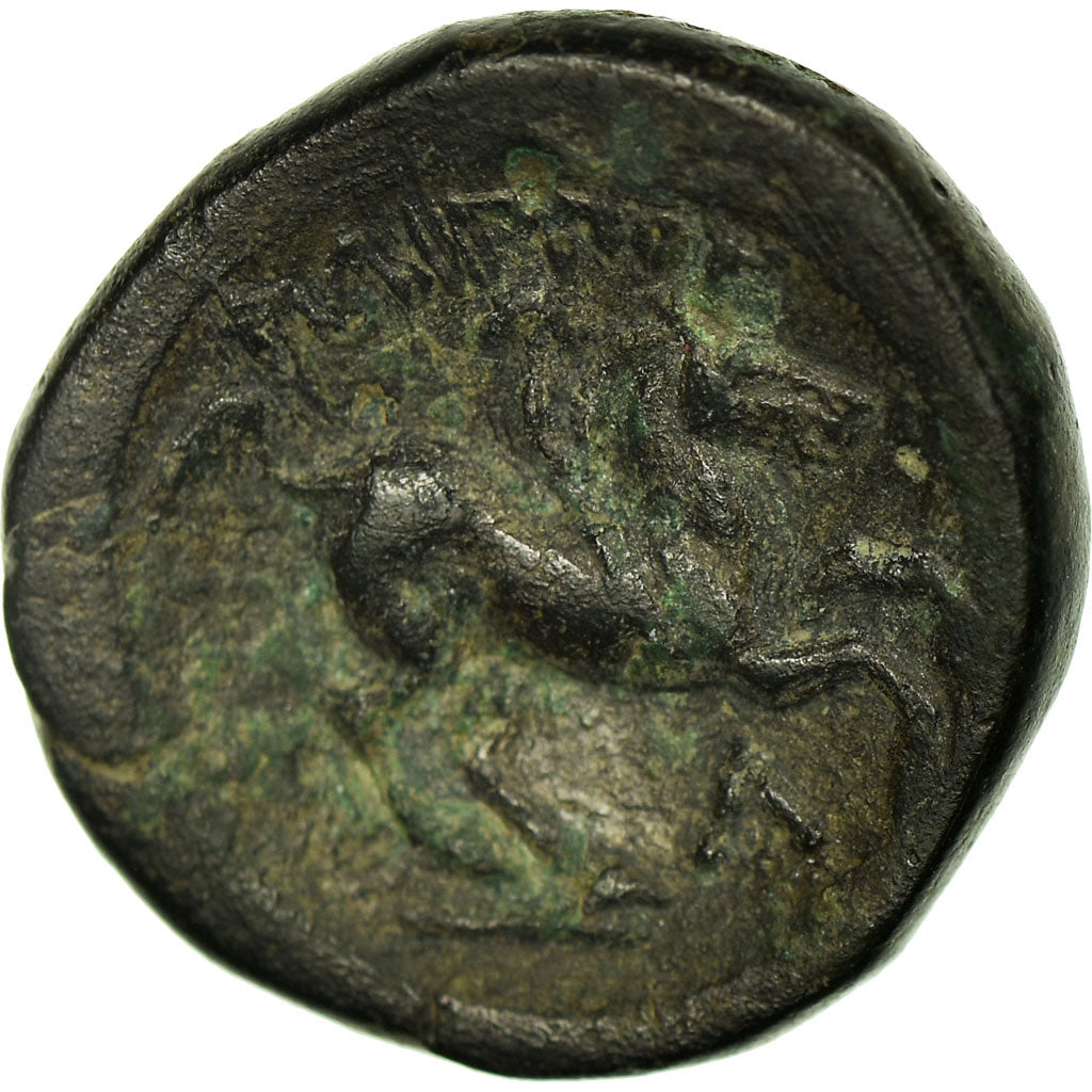 Kingdom of Macedonia, Apollo, Bronze Æ, Amphipolis, Bronze, SS