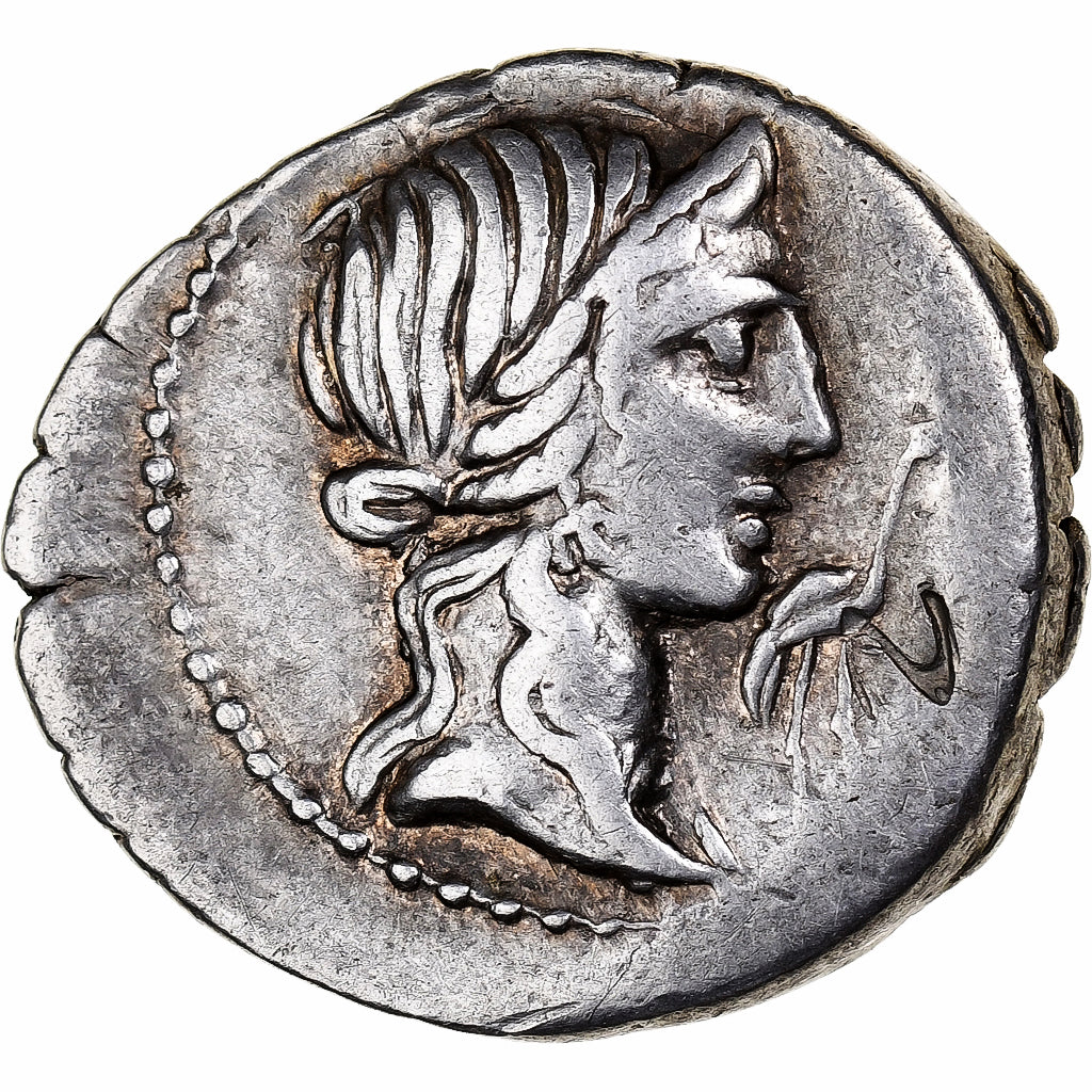 Caecilia, Denarius, 81 BC, North Italy, Countermark, Silver, EF(40-45)
