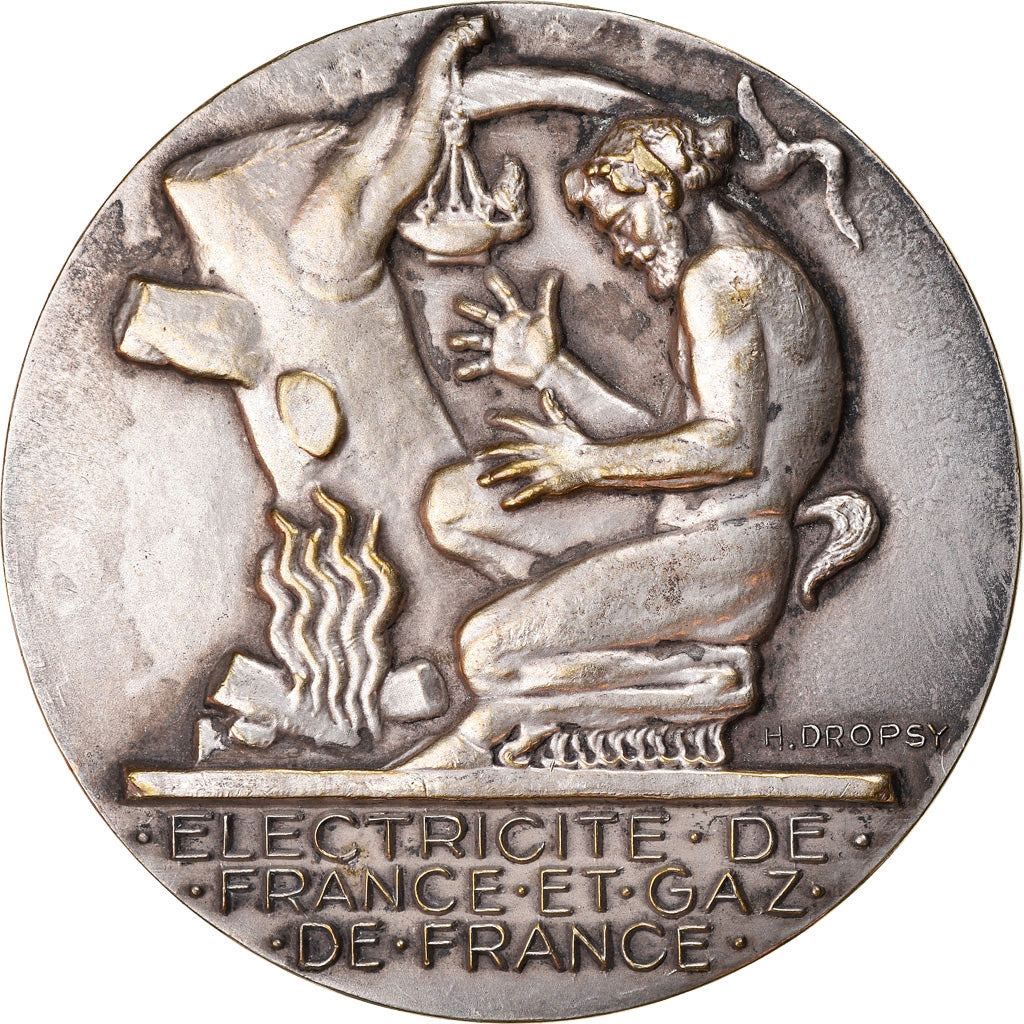 Francja, Medal, Électricité de France et gaz de France, Undated, Dropsy