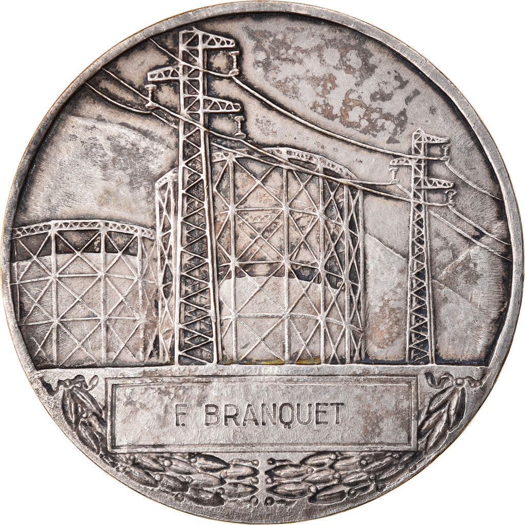 Francja, Medal, Électricité de France et gaz de France, Undated, Dropsy