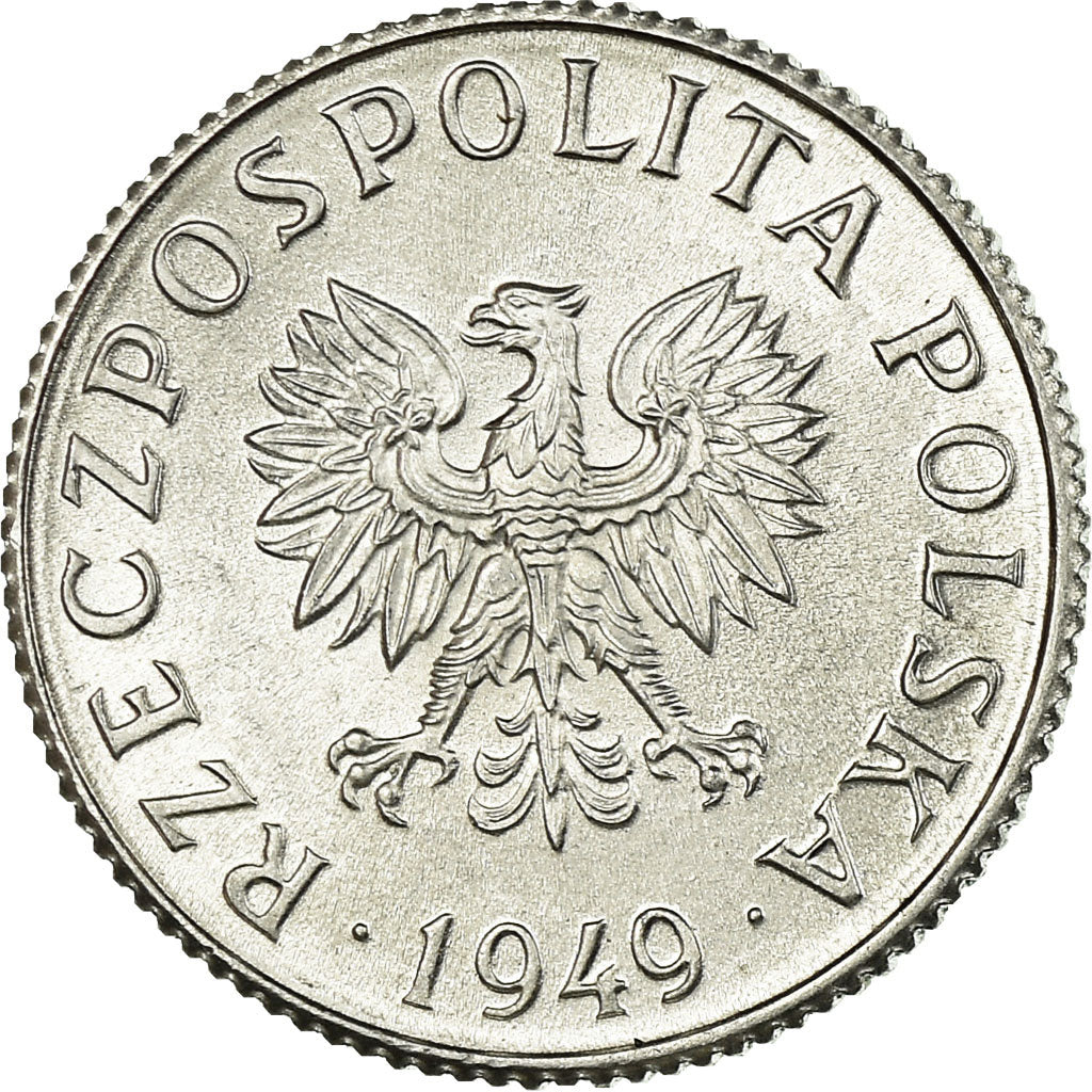 Monnaie, Pologne, Grosz, 1949, SPL, Aluminium, KM:39